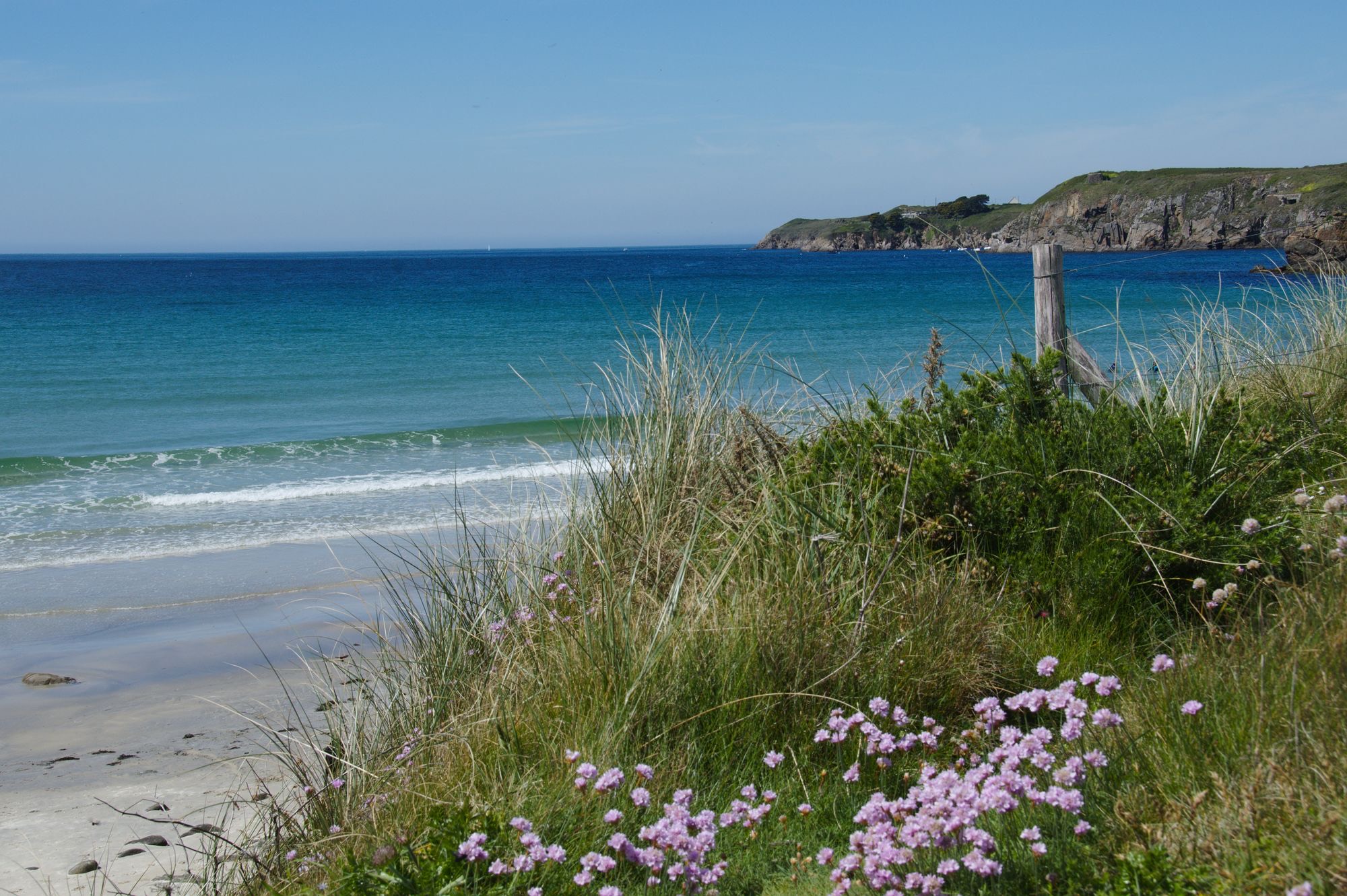 Une plage bretonne, la dune fleurie et la mer